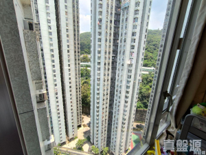 麗城花園 2期 1座 - 28NTS – 香港北部都會區