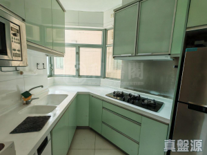 藍天海岸 3期 影岸‧紅 A座 (7座) - 28NTS – 香港北部都會區