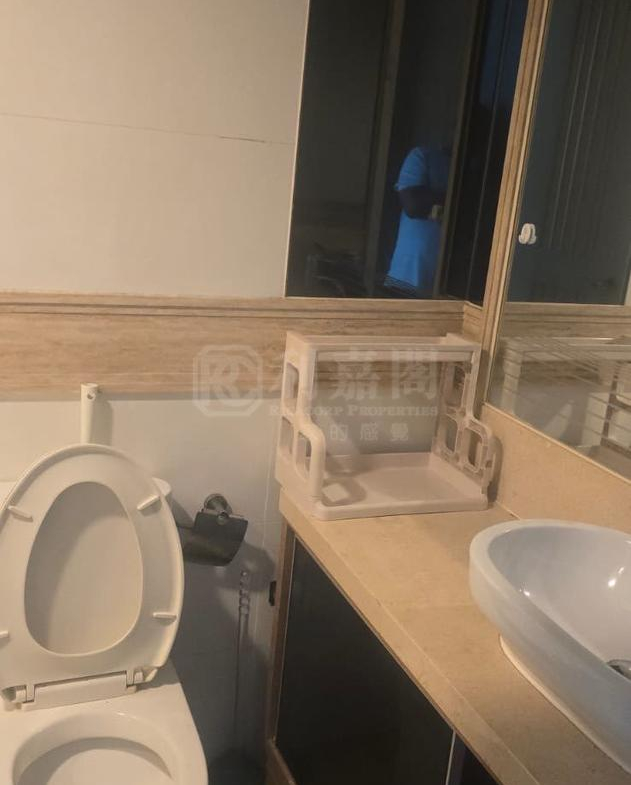 栢慧豪園 2期 栢慧豪廷 7座 - 28NTS – 香港北部都會區