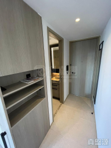 瑧頤 - 28NTS – 香港北部都會區