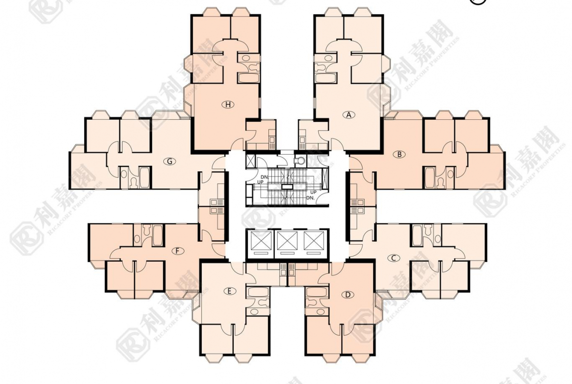 海濱花園 海珠閣 (2座) - 28NTS – 香港北部都會區