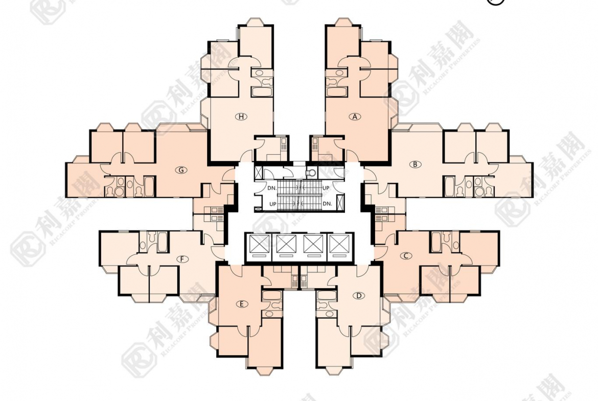 海濱花園 海雅閣 (8座) - 28NTS – 香港北部都會區