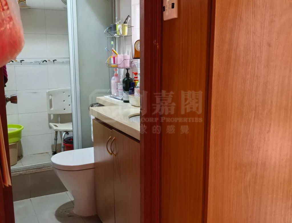 嘉盛苑 嘉耀閣 (C座) - 28NTS – 香港北部都會區