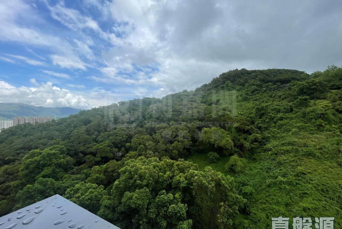 天鑽 8座 - 28NTS – 香港北部都會區