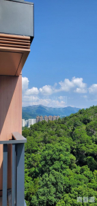 1763484706e0a08319-179b-44ff-805e-232b7d576837.jpeg 天鑽 8座 - 28NTS – 香港北部都會區