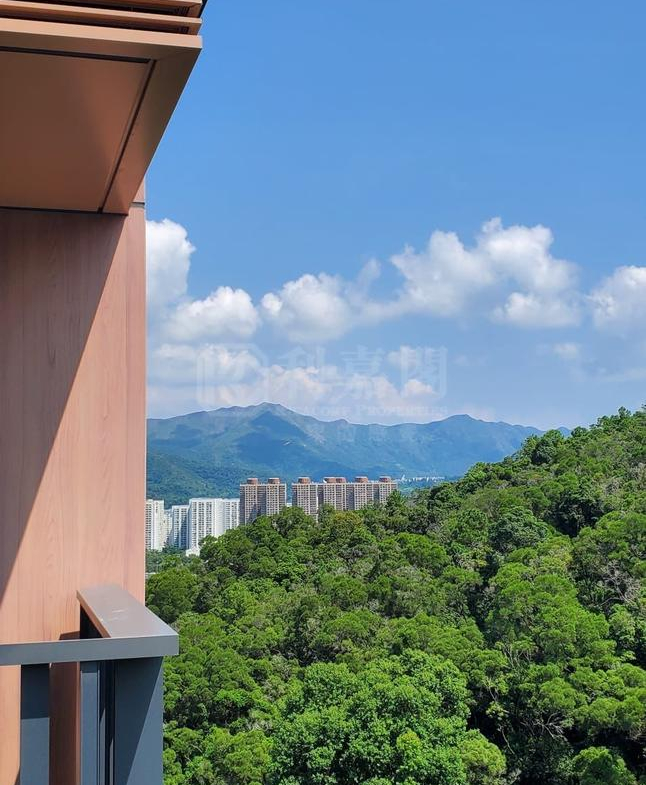 天鑽 8座 - 28NTS – 香港北部都會區