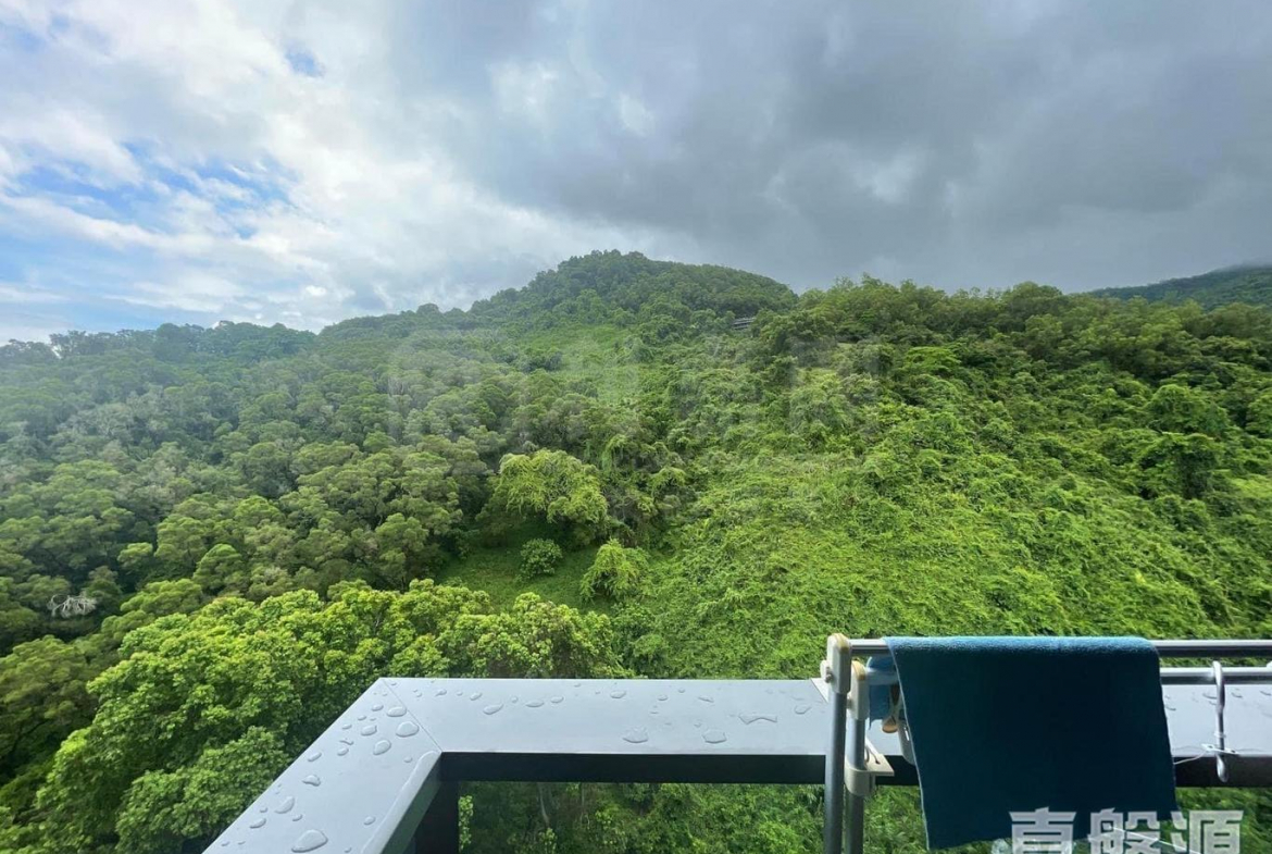 天鑽 8座 - 28NTS – 香港北部都會區