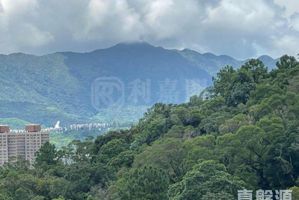 天鑽 8座 - 28NTS – 香港北部都會區