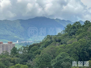 17634847209d65c719-5efa-4217-9652-1d5d35097e9a.jpeg 天鑽 8座 - 28NTS – 香港北部都會區