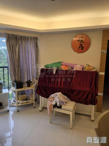 碧濤花園 2期 嘉麗閣 (A座) - 28NTS – 香港北部都會區