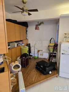 碧濤花園 2期 嘉麗閣 (A座) - 28NTS – 香港北部都會區