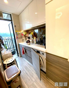 逸峯 2座 - 28NTS – 香港北部都會區