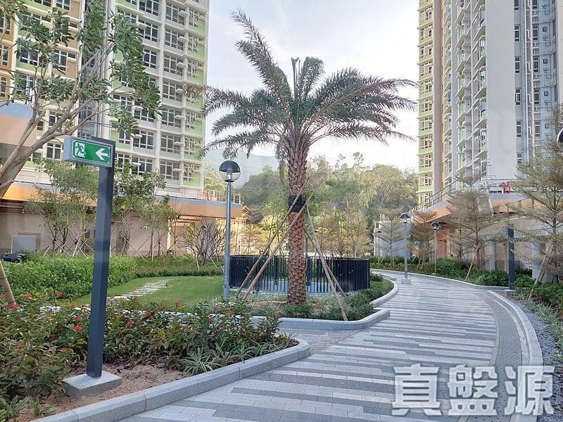 山麗苑 E座 - 28NTS – 香港北部都會區