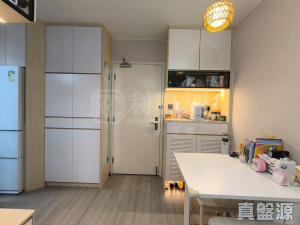 山麗苑 C座 - 28NTS – 香港北部都會區