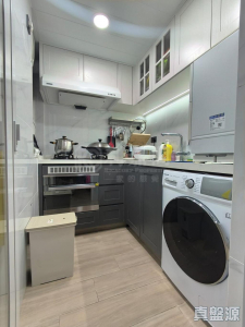 山麗苑 C座 - 28NTS – 香港北部都會區