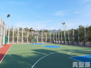 山麗苑 C座 - 28NTS – 香港北部都會區