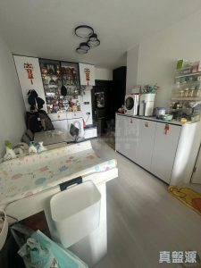 山麗苑 C座 - 28NTS – 香港北部都會區