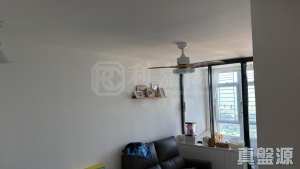 山麗苑 C座 - 28NTS – 香港北部都會區