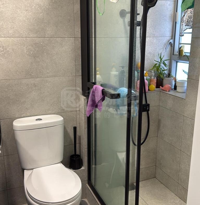 山麗苑 C座 - 28NTS – 香港北部都會區