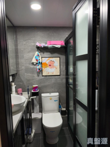 山麗苑 C座 - 28NTS – 香港北部都會區