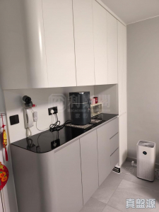 山麗苑 C座 - 28NTS – 香港北部都會區