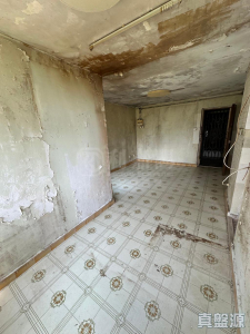 祥華邨 祥德樓 - 28NTS – 香港北部都會區