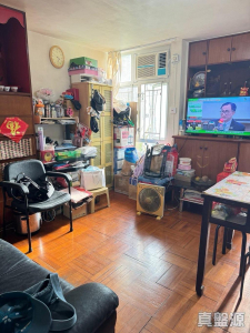 美城苑 逸城閣 (B座) - 28NTS – 香港北部都會區