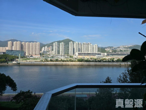 碧濤花園 2期 怡景閣 (C座) - 28NTS – 香港北部都會區