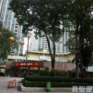 富善邨 善鄰樓 (2座) - 28NTS – 香港北部都會區