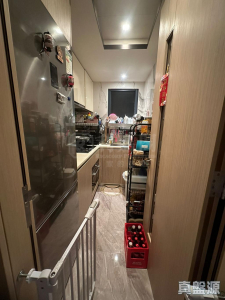 天鑽 17座 - 28NTS – 香港北部都會區