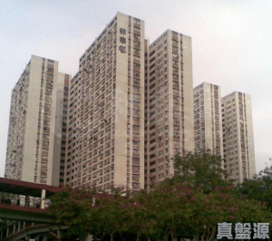 祥華邨 祥樂樓 - 28NTS – 香港北部都會區