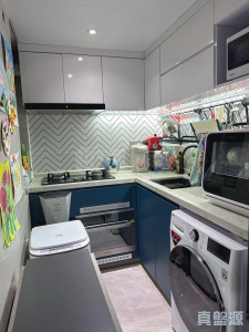 山麗苑 D座 - 28NTS – 香港北部都會區