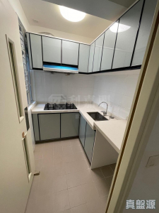 山麗苑 A座 - 28NTS – 香港北部都會區