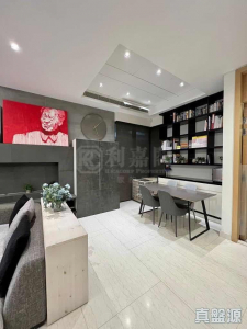 天巒 - 28NTS – 香港北部都會區