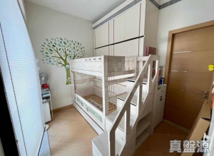 天巒 - 28NTS – 香港北部都會區