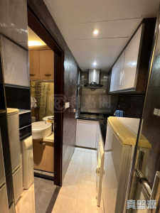 金獅花園 2期 金滿閣 (F座) - 28NTS – 香港北部都會區