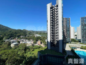 天鑽 10座 - 28NTS – 香港北部都會區