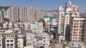 1763488438a59474f3-e23f-484c-a225-1953bffc1947.jpeg 福安樓 3座 (C座) - 28NTS – 香港北部都會區