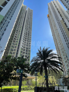 山麗苑 B座 - 28NTS – 香港北部都會區