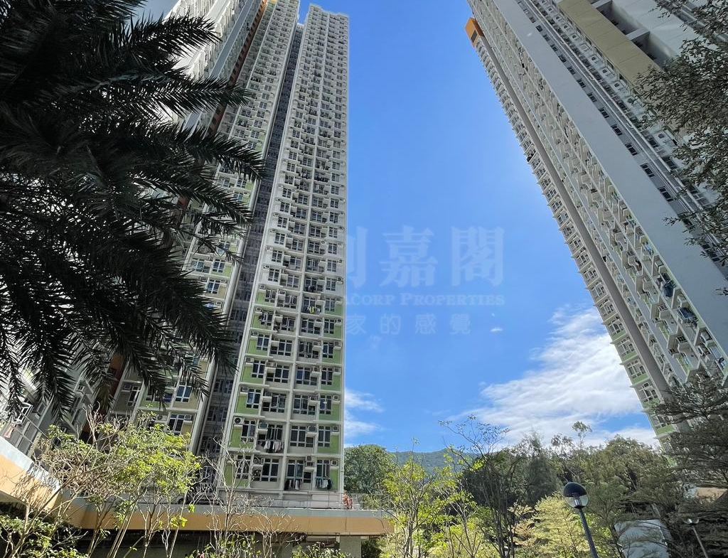 山麗苑 B座 - 28NTS – 香港北部都會區