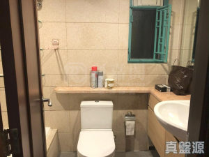 翠擁華庭 7座 - 28NTS – 香港北部都會區