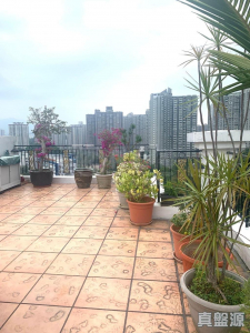 新峰花園 4期 御峰豪園 31座 - 28NTS – 香港北部都會區