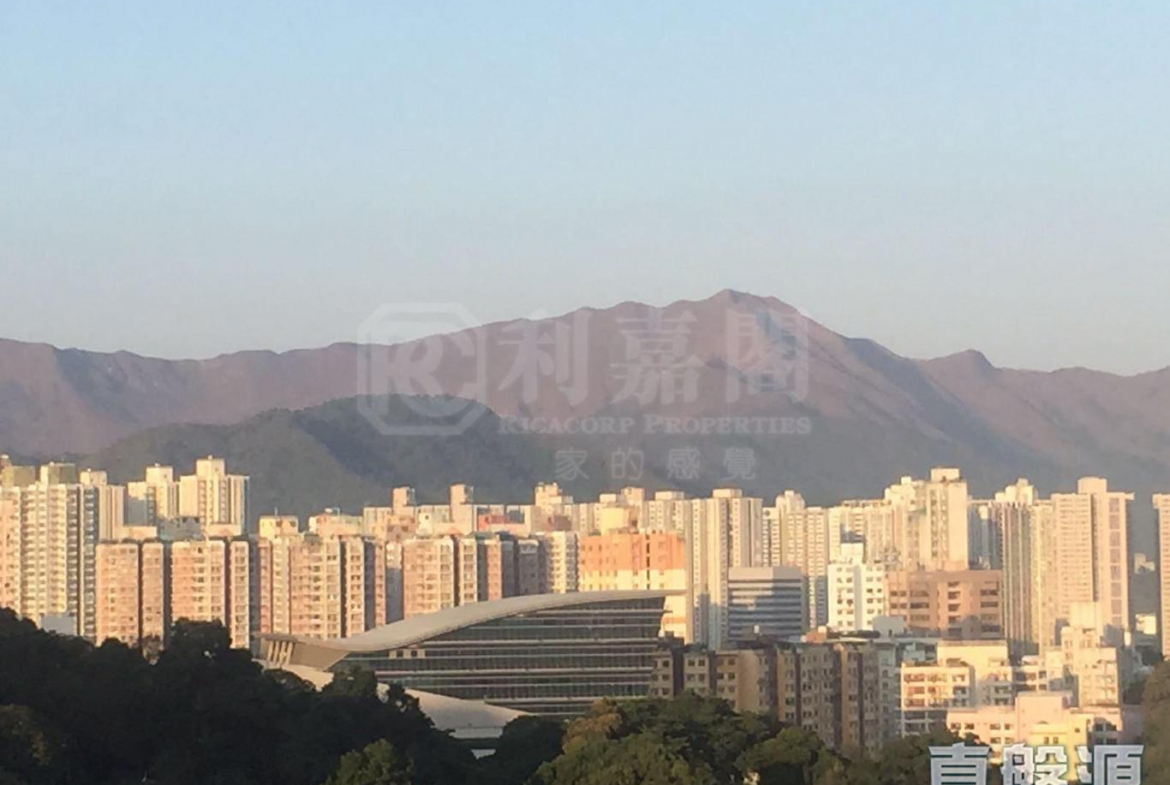 新峰花園 4期 御峰豪園 31座 - 28NTS – 香港北部都會區