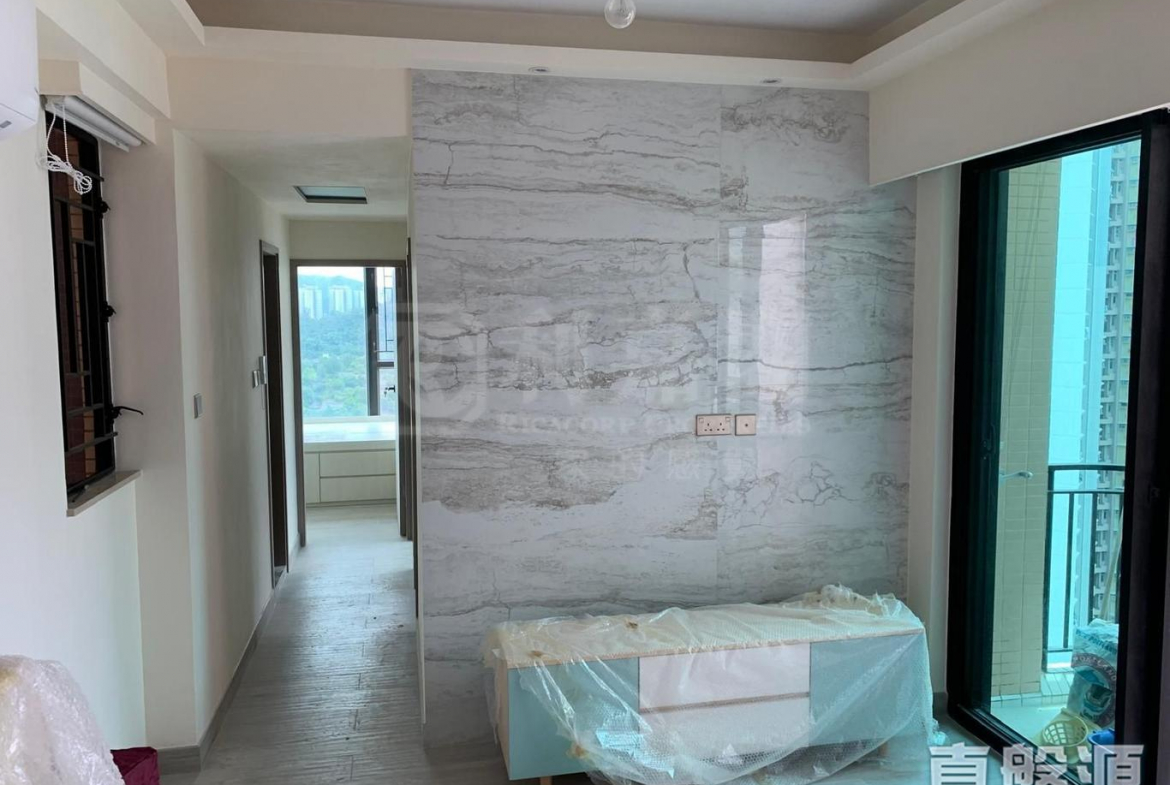 顯峯 - 28NTS – 香港北部都會區