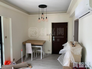 顯峯 - 28NTS – 香港北部都會區