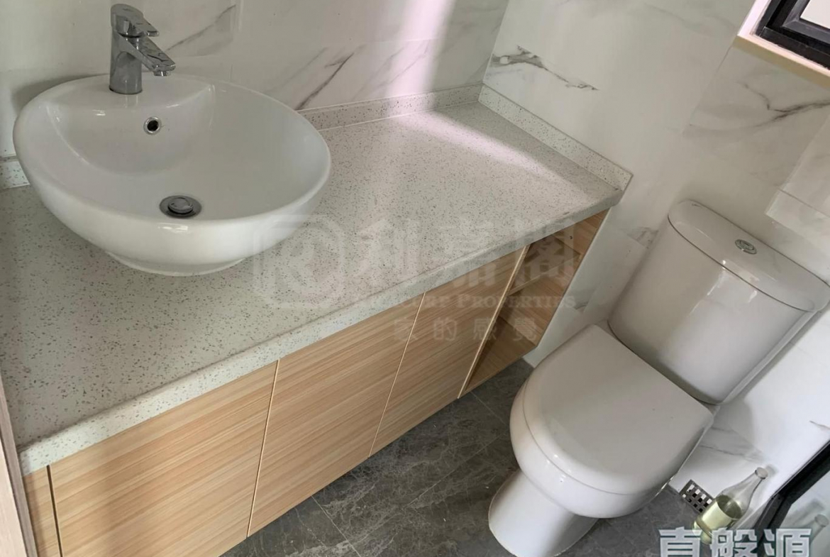 顯峯 - 28NTS – 香港北部都會區