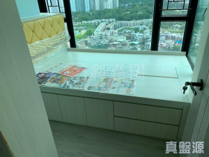 顯峯 - 28NTS – 香港北部都會區