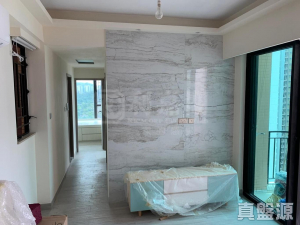 顯峯 - 28NTS – 香港北部都會區