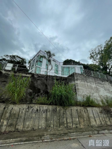 半山洲 - 28NTS – 香港北部都會區