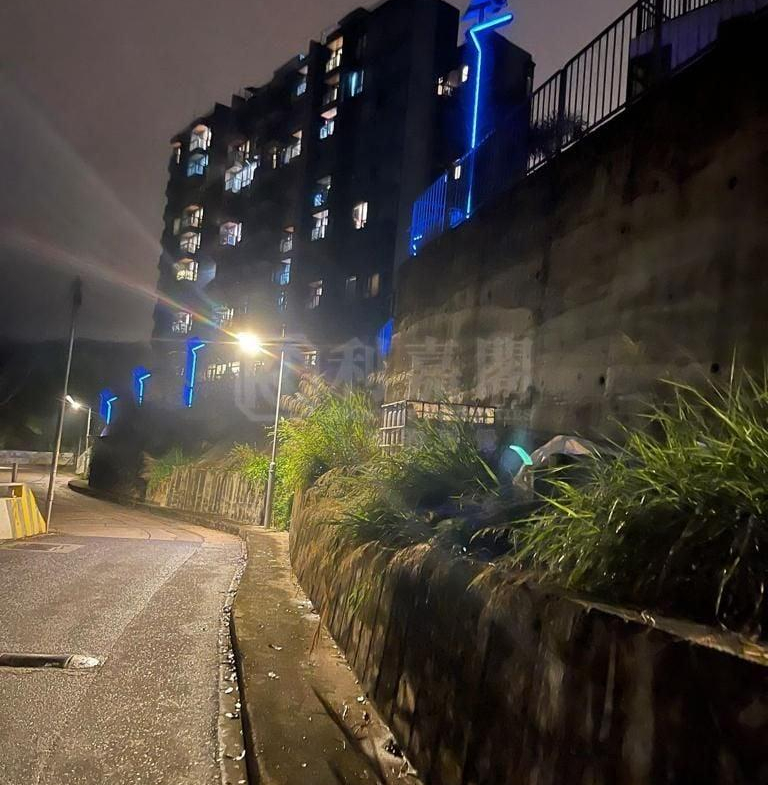 半山洲 - 28NTS – 香港北部都會區